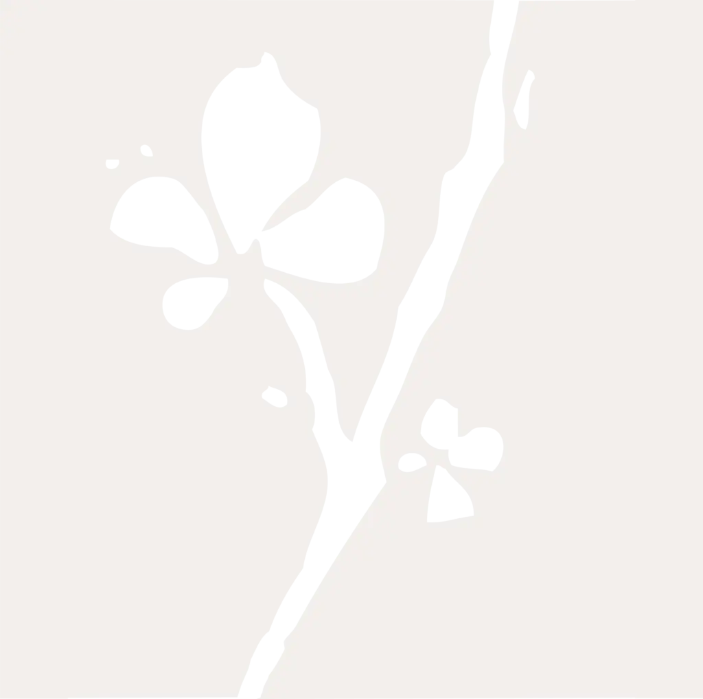 Media Kit