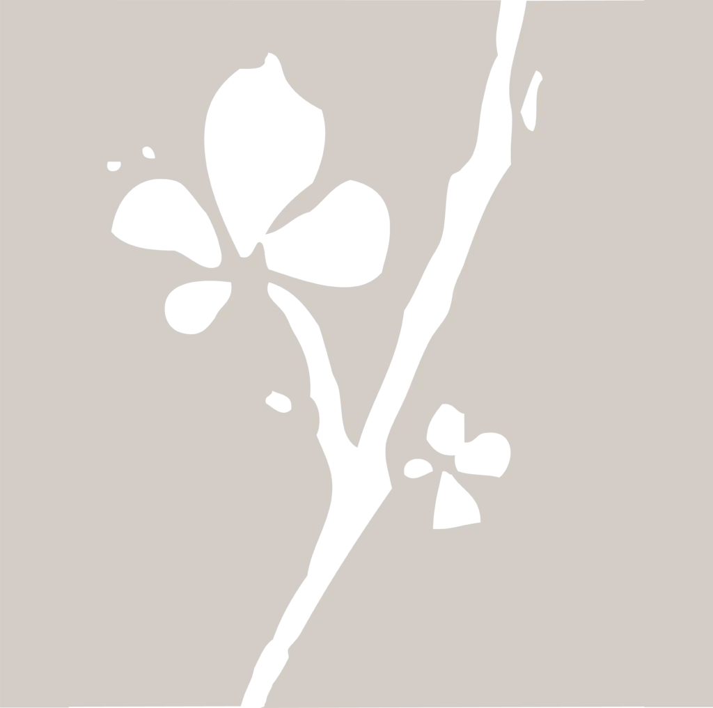 Media Kit